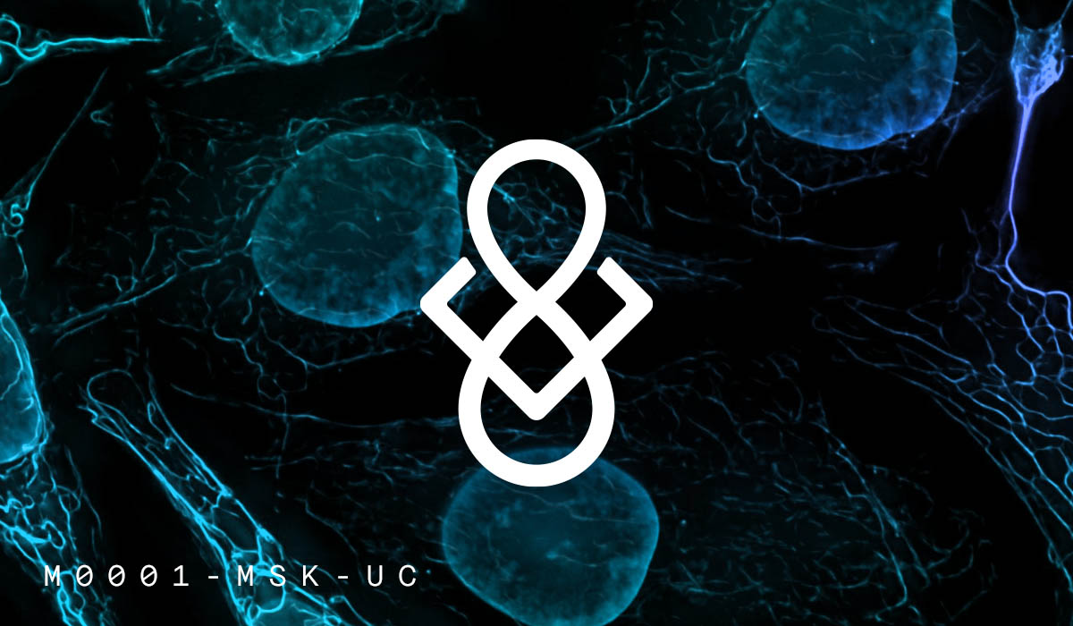 IP-NFTs for Researchers: A New Biomedical Funding Paradigm